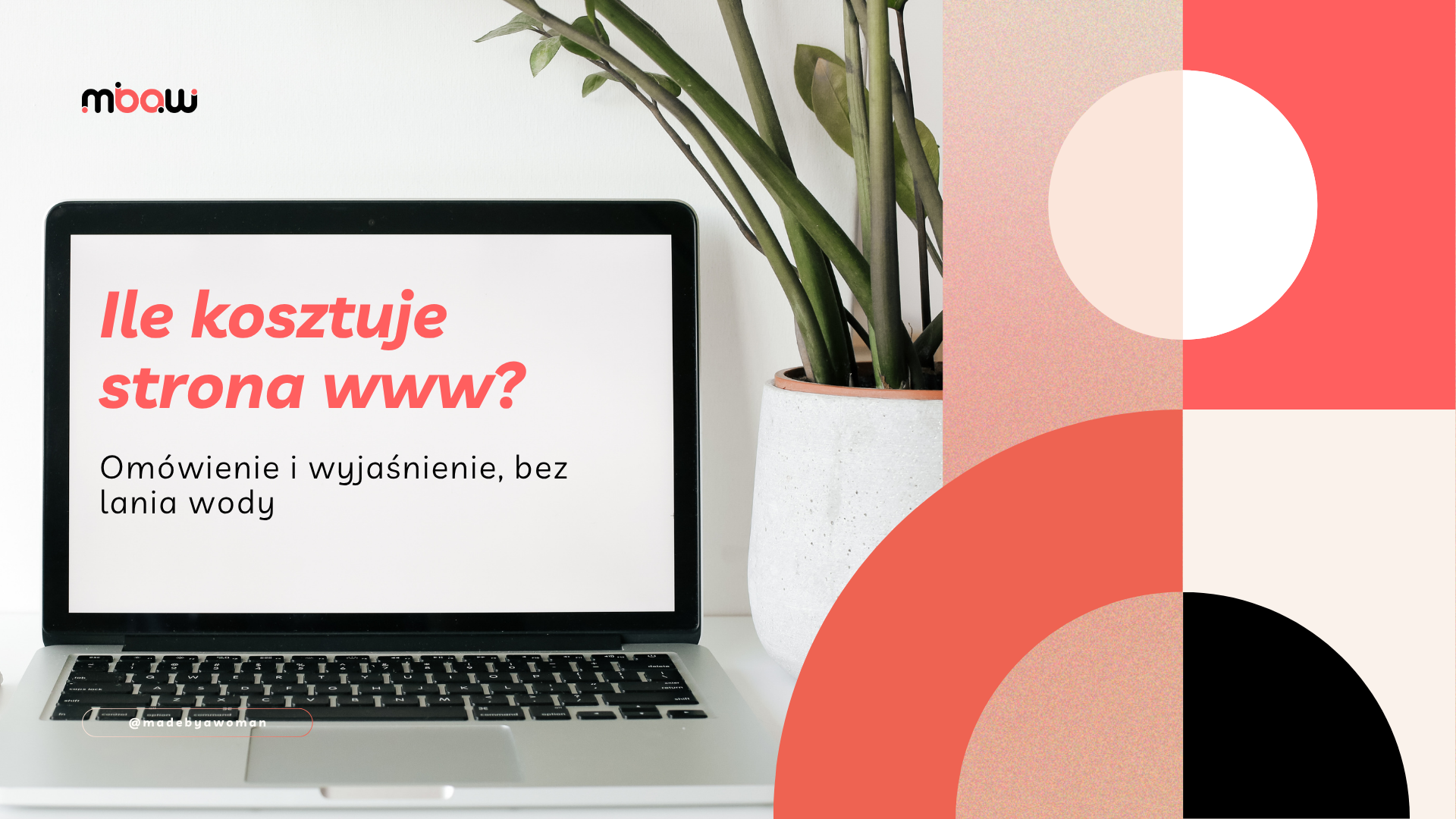 Laptop z napisem „Ile kosztuje strona www?” ustawiony obok rośliny doniczkowej.